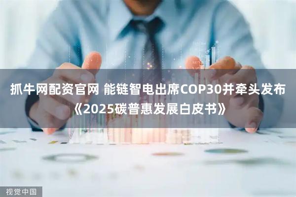 抓牛网配资官网 能链智电出席COP30并牵头发布《2025碳普惠发展白皮书》