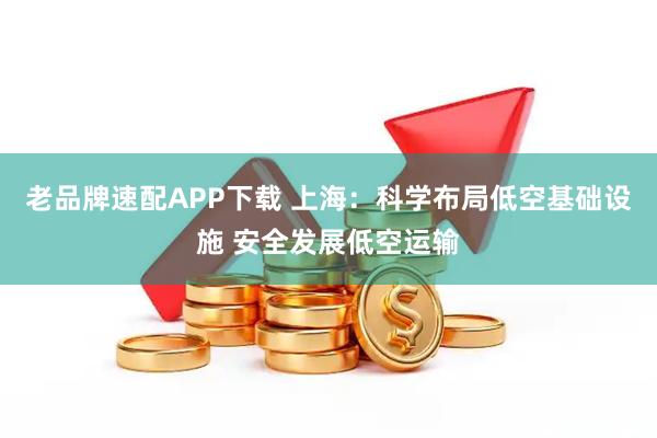 老品牌速配APP下载 上海：科学布局低空基础设施 安全发展低空运输