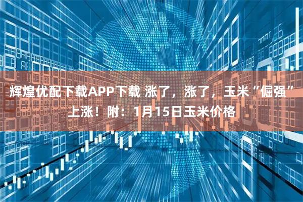 辉煌优配下载APP下载 涨了，涨了，玉米“倔强”上涨！附：1月15日玉米价格