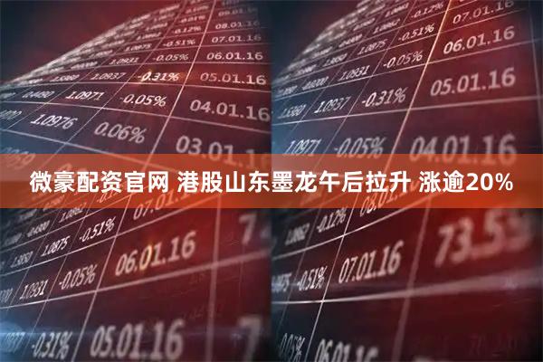微豪配资官网 港股山东墨龙午后拉升 涨逾20%