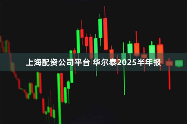 上海配资公司平台 华尔泰2025半年报